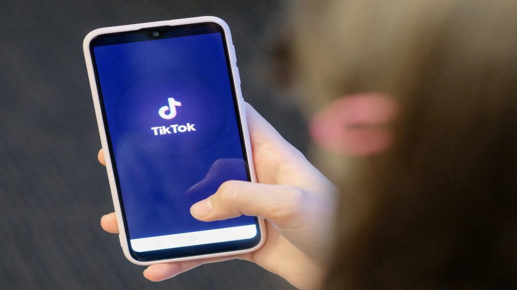 Barbat cercetat sub control judiciar pentru instigare la violenta prin mesaj pe TikTok