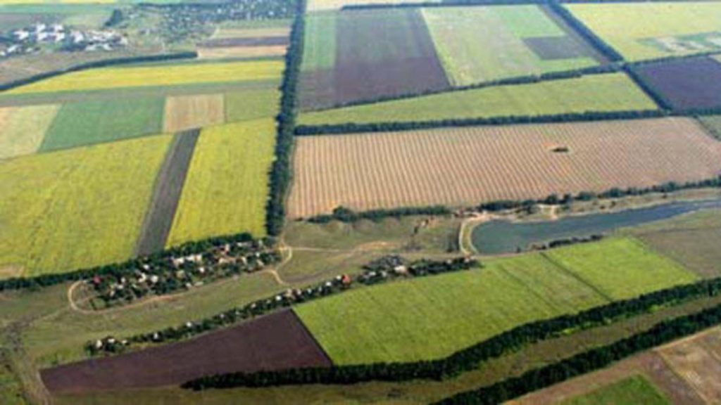 Cat a costat cel mai scump teren agricol vandut