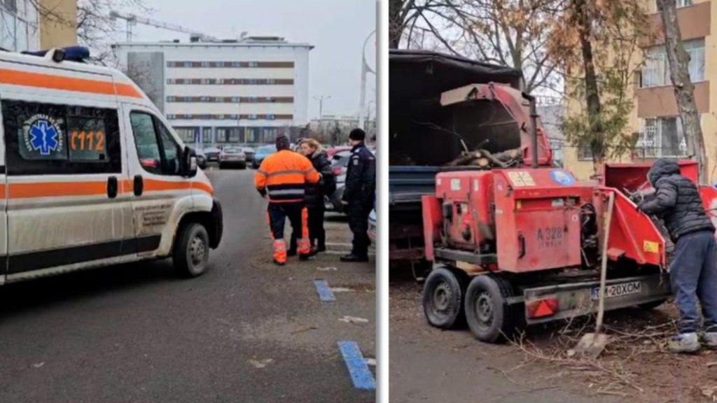 Doctorita ranita pe o strada din Timisoara Femeia a fost lovita de o creanga avertismentul ignorat