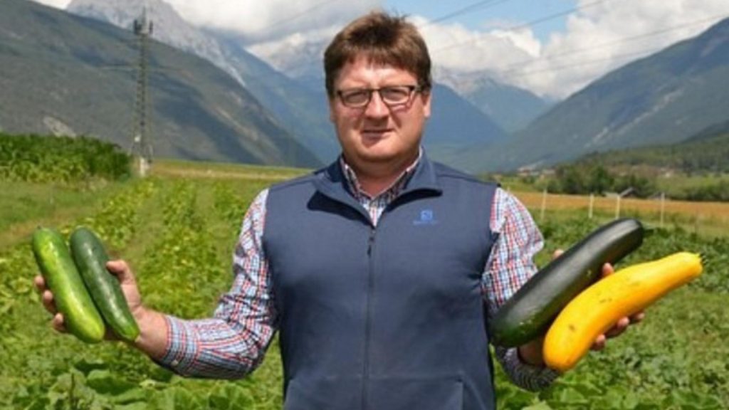 Pamanturile din Romania atractive pentru fermierii austrieci Se produce mai bine aici