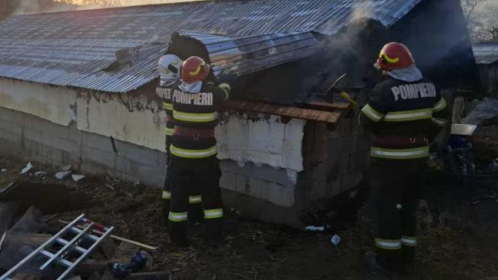 Incendiu la un adapost din Probota 15 porci morti