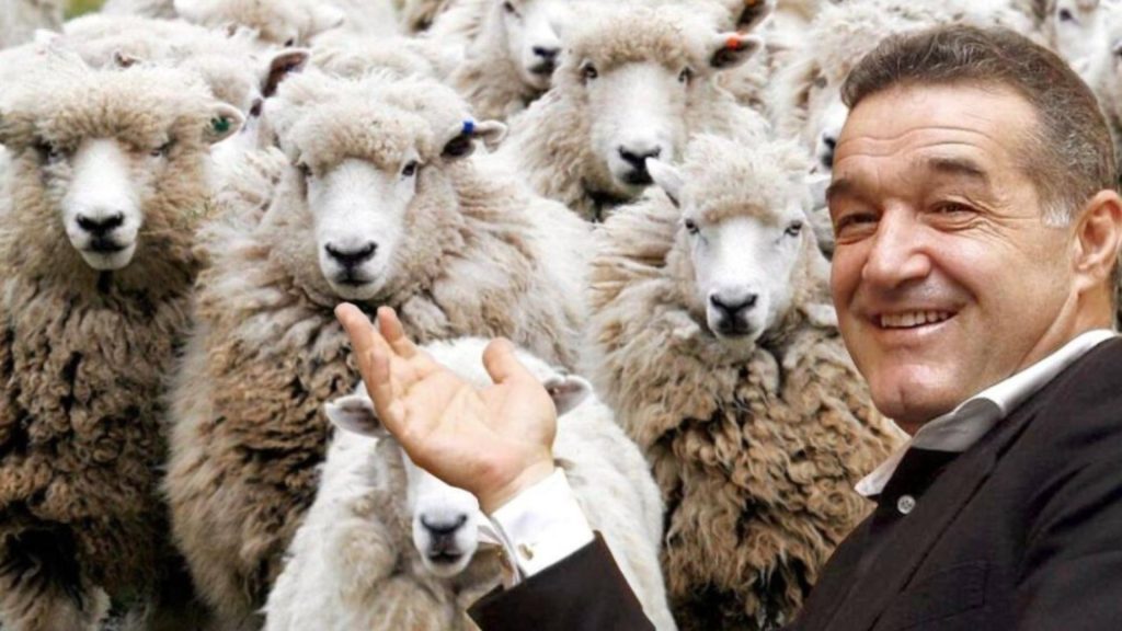 Realitatea PLUS la Ferma Urbana Mafia Hrebenciuc Becali ADS