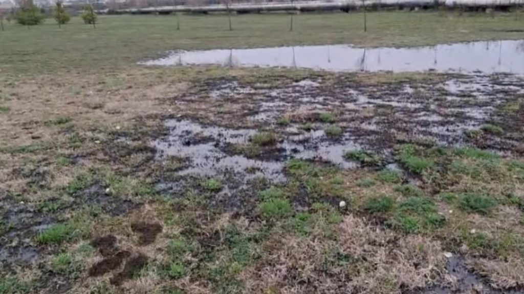 Solul Parcului Municipal Ploiesti Vest contaminat cu petrol