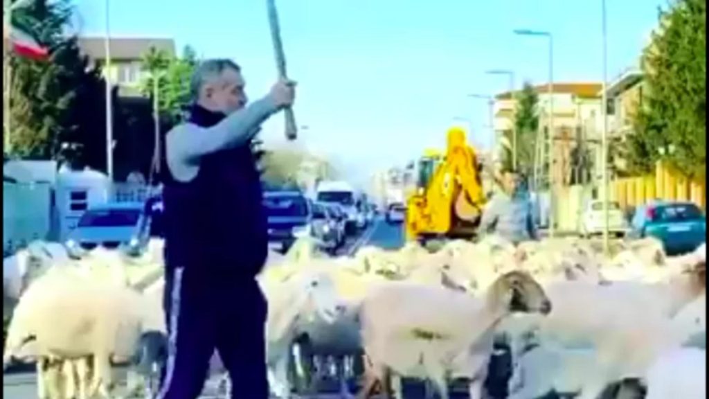 Tunurile imobiliare ale lui Becali serele de la Popesti Leordeni