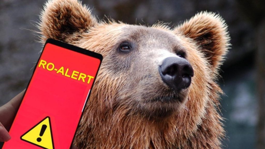 Urs vazut pe o strada din Busteni mesaj RO ALERT emis